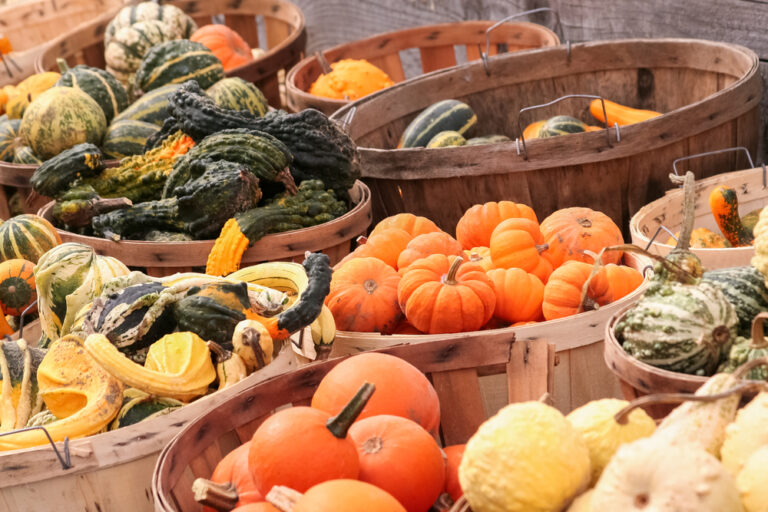 Baskets,Filled,With,A,Variety,Of,Gourds